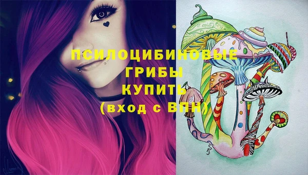 кокс Липки