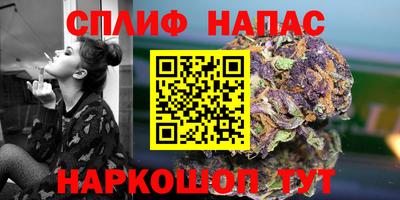 стаф Балахна