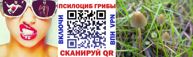 Псилоцибиновые грибы MAGIC MUSHROOMS  Димитровград 