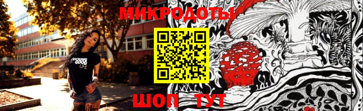 Галлюциногенные грибы мухоморы  Димитровград  Псилоцибиновые грибы Cubensis 