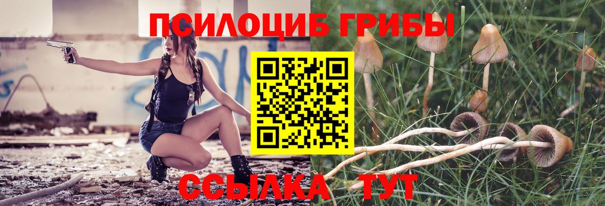 Галлюциногенные грибы GOLDEN TEACHER  Псилоцибиновые грибы ЛСД  Вход с VPN  Димитровград 